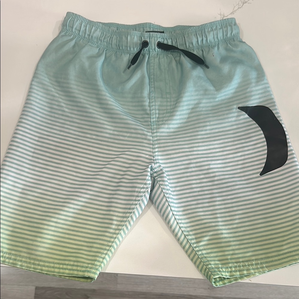 Hurley Aqua Swim Shorts